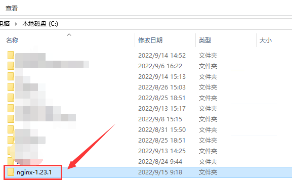 Nginx 外网域名 设置指南插图