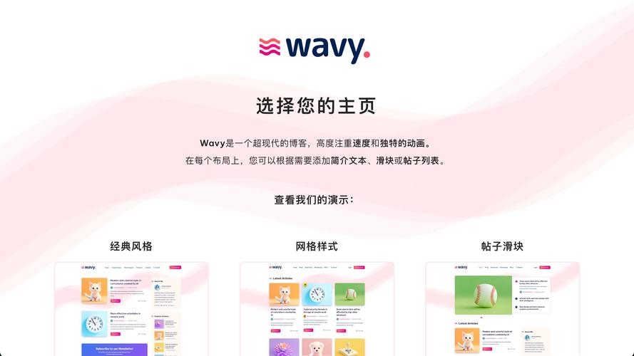 WordPress主题精简，打造简洁高效的博客体验插图