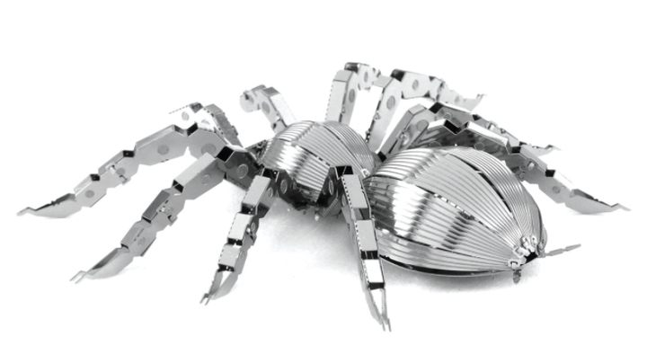 搜索引擎蜘蛛，网络爬行的神秘力量插图