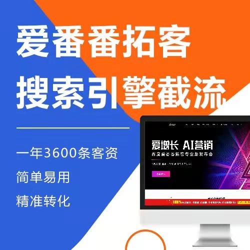 搜索引擎网站推广优化策略插图