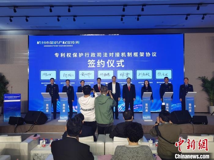 杭州知识产权综合服务流程解析插图