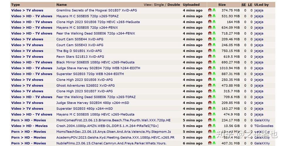 BT种子网站大全与BTFTP下载方式的探索插图