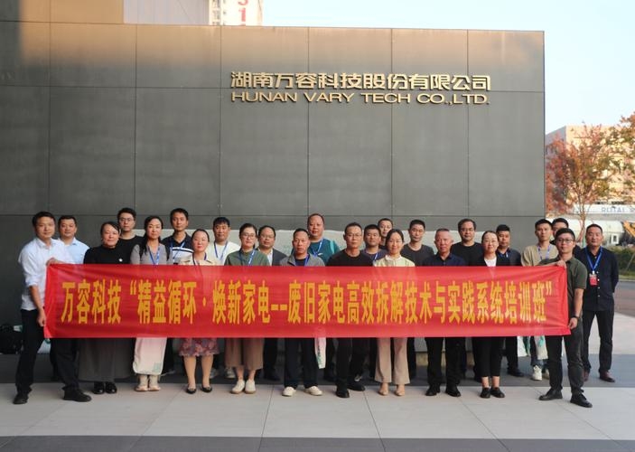 岳阳网站建设之选，思洋科技引领前行插图