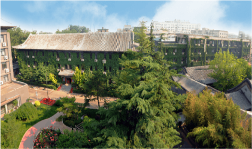 烟台网站建设策划与金宋网络技术优势解析。插图