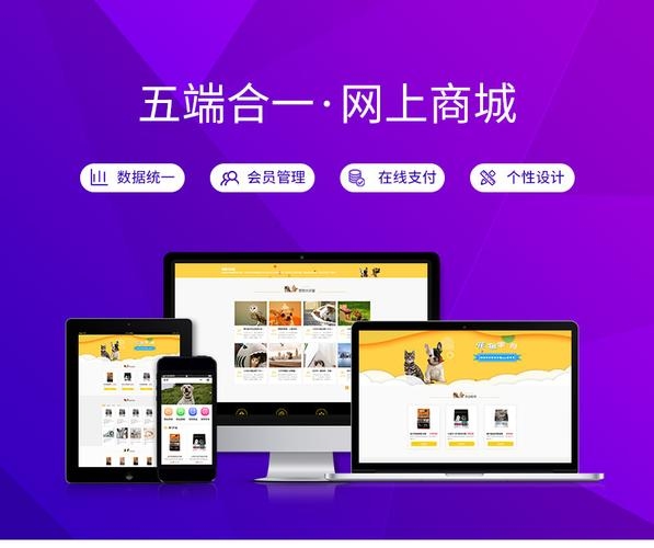 中山网页网站设计模板，打造专业且吸引人的网站插图