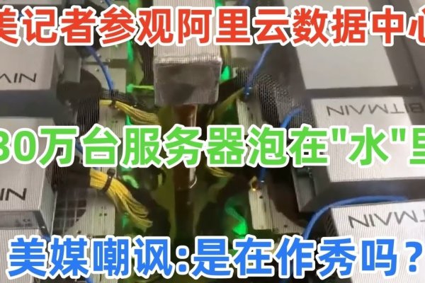 阿里巴巴的湖底秘境，服务器之下的科技奇迹-百挑一