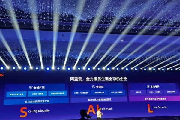 阿里云计算有限公司，民营企业的数字化转型先锋-百挑一