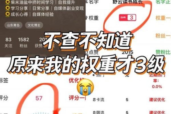 百度权重查询与ASO优化搜索排名，百度权重查询，使用工具打开百度搜索并查找权重查询，选择平台进行查询。关注site首页是否在首位，通过收录内容、反链数量变化等判断是否被降权。维护良好的站内环境和站外环境对提高网站稳定性和安全性至关重要。，ASO优化搜索排名，提高APP在电子市场的排行榜位置和搜索结果排名的过程。重点在于关键词搜索排名优化，包括完善应用信息标题和添加核心关键词吸引用户搜索下载。针对各应用商店特性调整以提高曝光度和转化率。目标是提升应用的知名度和用户体验进而推动业务发展。-百挑一