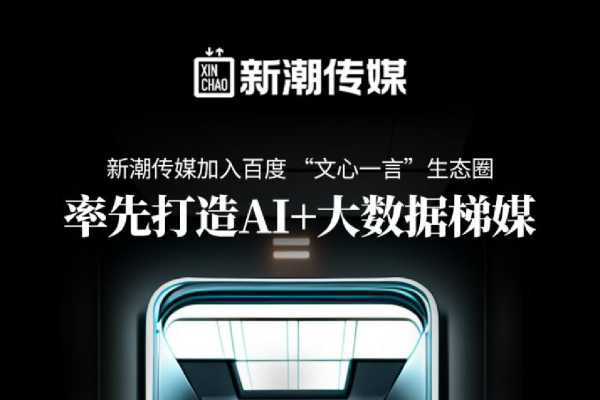 保定新媒体运营公司，引领行业新风潮-百挑一