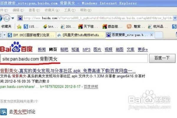 百度站内搜索的使用指南-百挑一