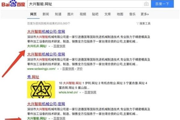 百度中文域名战略，规范注册，应对欺诈与抢注现象-百挑一