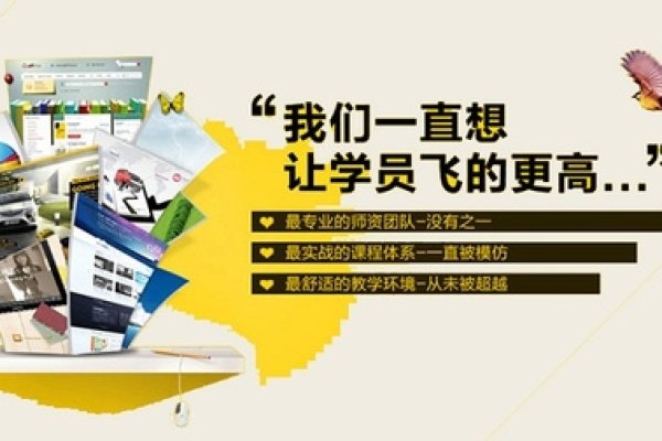 白沟淘宝运营培训，引领电商新时代的成功秘诀-百挑一