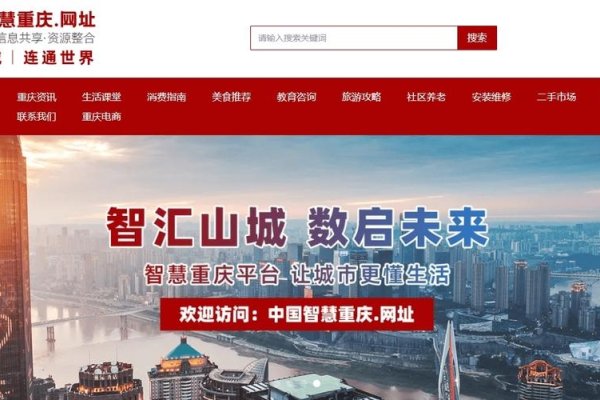 重庆网站查询，便捷生活的智慧之选-百挑一