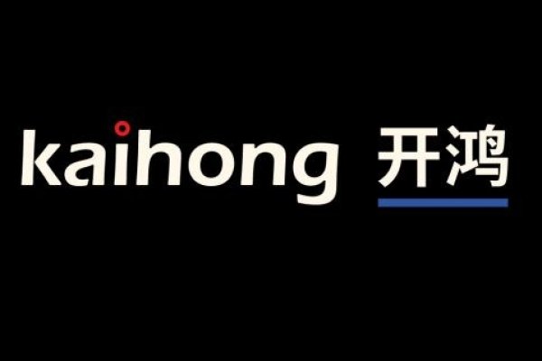 长沙浩鸿软件开发公司，技术驱动未来，创新引领发展-百挑一