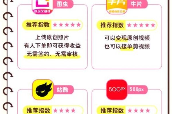 程序员兼职平台推荐,如何找到合适的软件项目赚钱?-百挑一