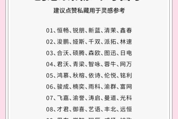 创意新潮网络公司名字的构思与解析-百挑一