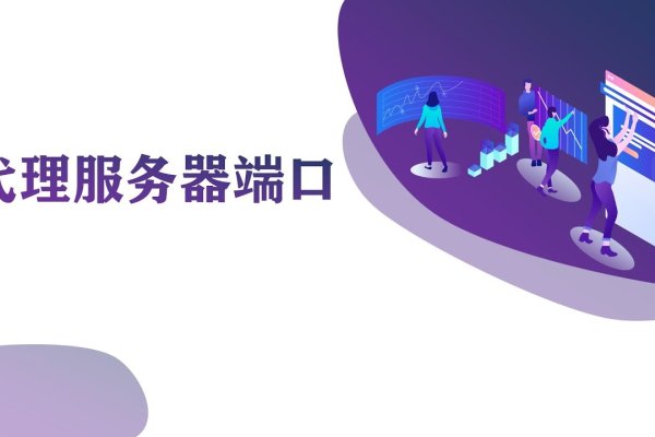 代理服务器，网络中的桥梁与守护者-百挑一