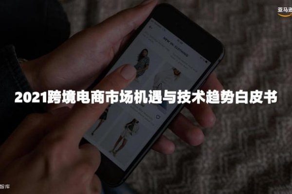 电商热门行业前景-百挑一