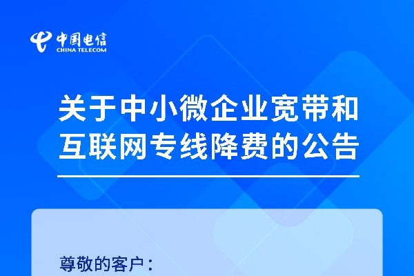 电信宽带在线客服系统，多渠道接入，便捷服务新体验-百挑一