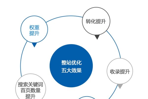 东莞整站排名优化,探索与实践之路-百挑一