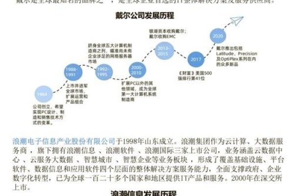 服务器国外品牌，探究其优势与发展趋势-百挑一