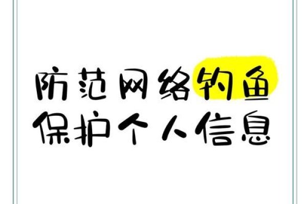 反钓鱼防护技术，防范网络诈骗保护隐私-百挑一
