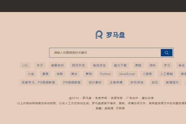 国外网盘搜索引擎，探索云存储的新领域-百挑一