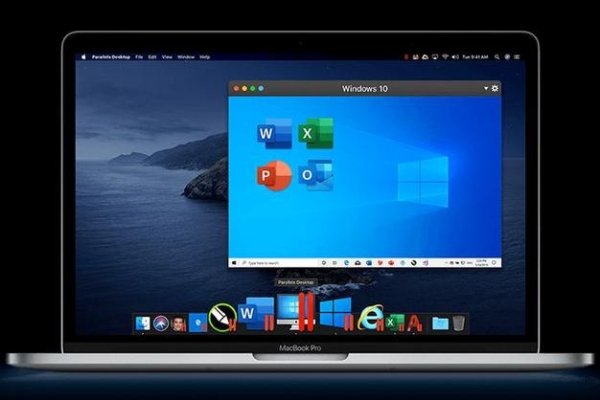 国外虚拟主机概述-百挑一