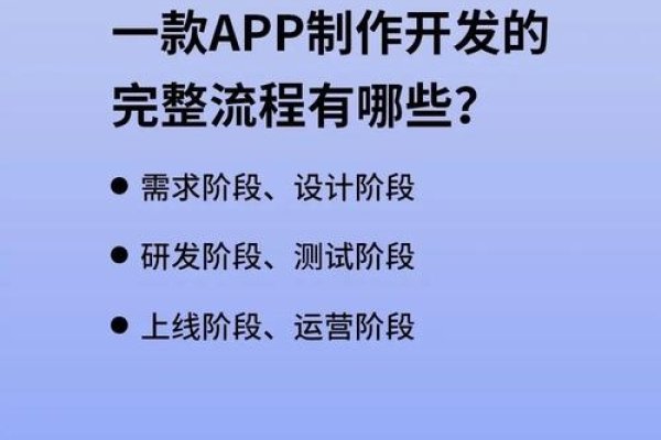高效办理的app开发外包策略-百挑一
