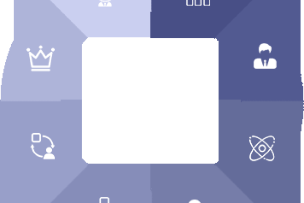 广西SEO优化公司解析，网站优化的核心与策略，行业现状及发展趋势-百挑一