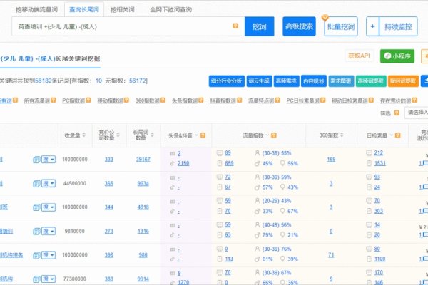 关键字排名查询工具，轻松获取SEO数据与策略-百挑一