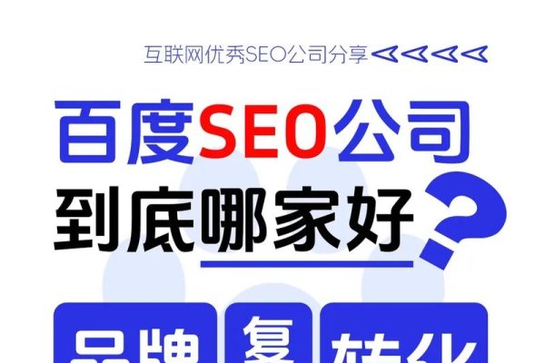 海口百度SEO公司，助力企业在互联网时代崛起-百挑一