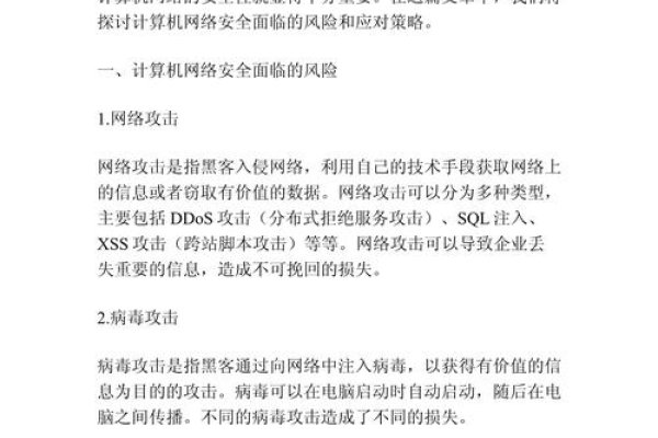 互联网安全风险评析，挑战与应对策略-百挑一