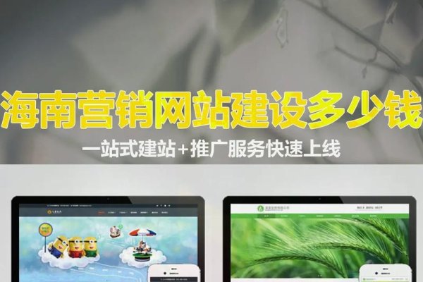 海南平台网站建设费用概述-百挑一