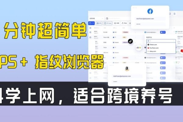 机场VPS与IP管理，如何合法、安全地切换与使用？-百挑一