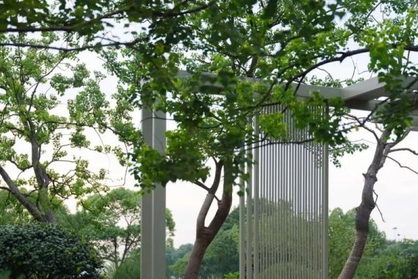 景观设计师带货，重塑自然与商业的和谐共生-百挑一