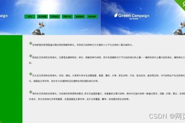 静态网页设计的深度分析与研究论文-百挑一