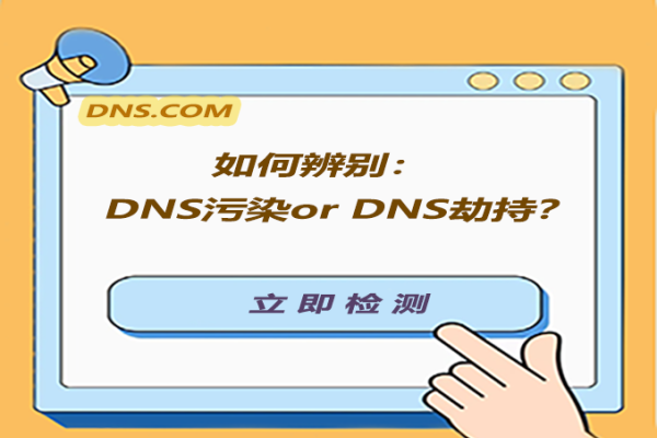 江苏地区DNS污染现象分析-百挑一