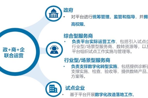 经信局企业云服务平台，推动企业数字化转型的新引擎-百挑一