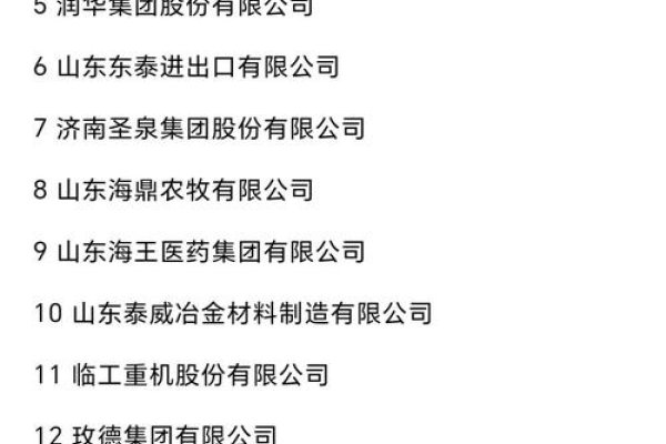 济南网站优化公司排名揭秘，新航线、鲁恒与兴田德润三大巨头解析及选择指南-百挑一