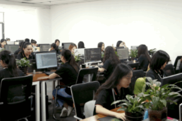 开发专业app公司的探索与成长-百挑一