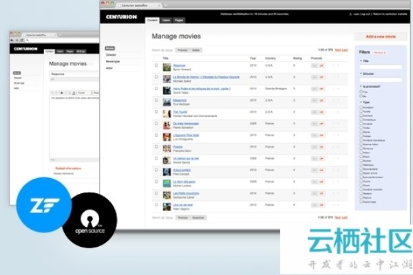 开源免费商城CMS，选择与优化指南-百挑一