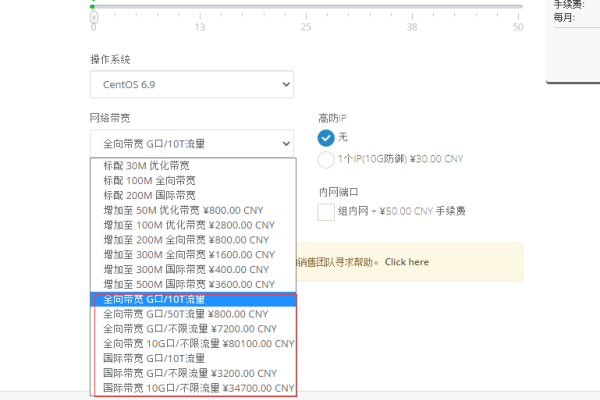 美国独立G口服务器详解，高带宽、应用广泛，如何选择最佳方案？-百挑一