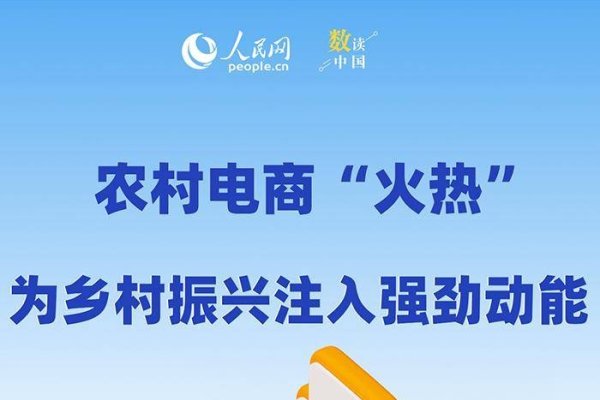 农村电商平台的崛起与未来发展-百挑一