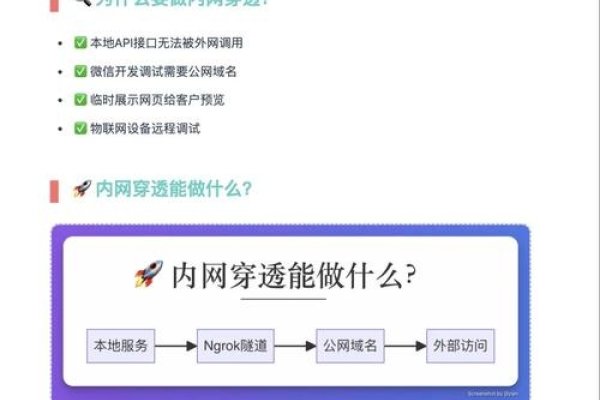 内网穿透工具概述-百挑一