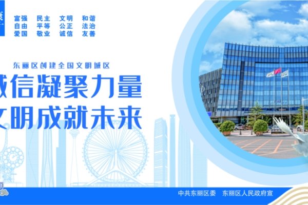 普宁整站优化的实践与思考-百挑一