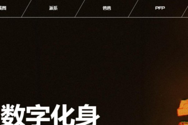 如何利用服务器搭建个人网站？-百挑一