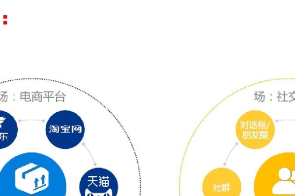 社交电商与传统电商的差异解析-百挑一