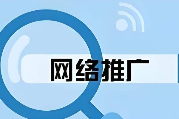 石家庄网站优化与网络营销战略-百挑一