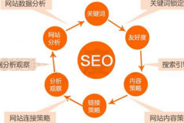 深入解析SEO3空间结构-百挑一